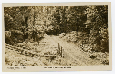 Photograph, The Road to Sassafras. Victoria