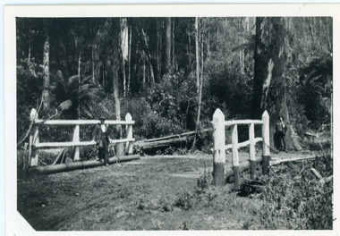 Photograph, Barber's Bridge on Olinda Creek