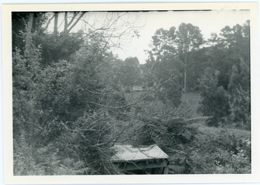Photograph, View from George Barber's Home To His Stables