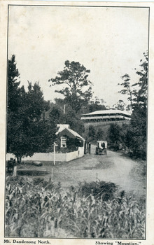 Black and white postcard showing a horse and cart on road between two buildings.