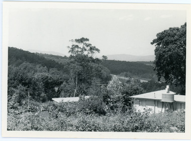 Photograph, View From Ernest Road To Site Of "Kia-Ora"
