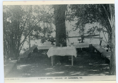 Photograph, Tea Tables at "Shiloah"
