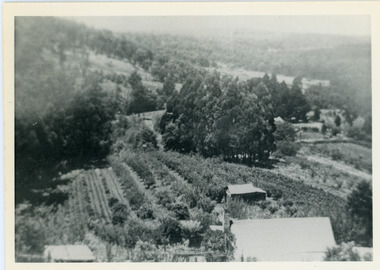 Photograph, View Over Logan's From Barber's Road