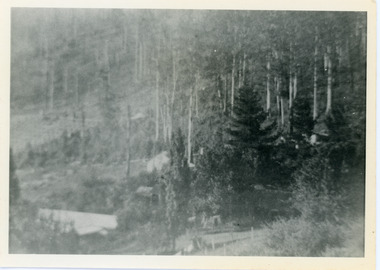 Photograph, View Over Roof of "Kalorama"