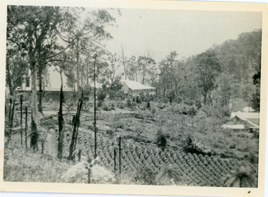 Photograph, View of Kalorama Gap 1905
