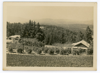 Photograph, Walker's LOT 2