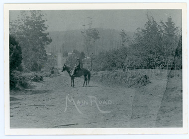 Photograph, Looking Down Falls Road