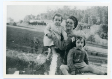 Photograph
