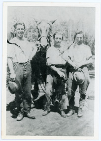 Photograph