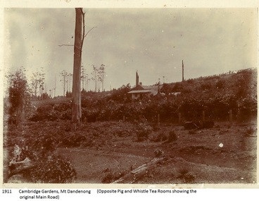 Photograph, Cambridge Gardens Mt Dandenong