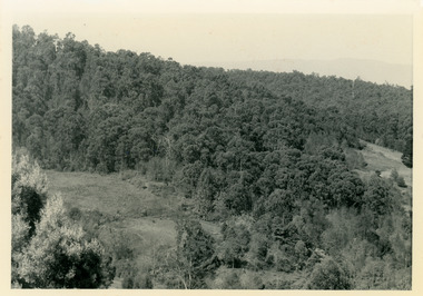 Photograph, Site of Jeannie Richardson's Home 1973