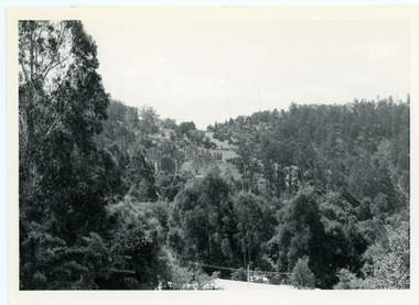 Photograph, View From Doughty's Road 1974