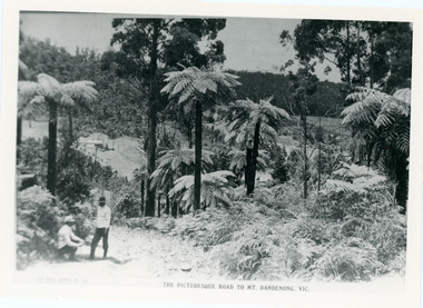 Photograph, View From Doughty's Road 1913