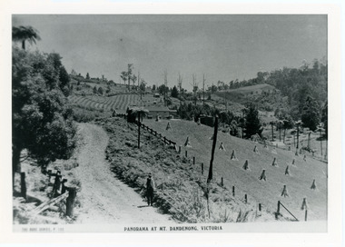 Photograph, View From Corner of Doughty's Road and Barbers Road 1913