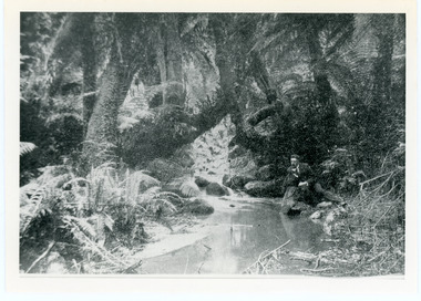 Photograph, The Olinda Creek, 1910