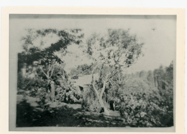 Photograph, Harmony Vale Homestead