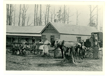 Photograph