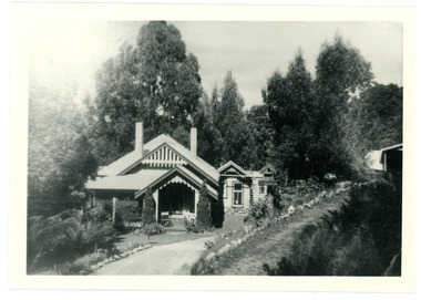 Photograph