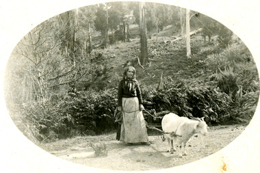 Photograph