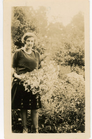 Photograph