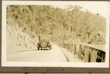 Photograph