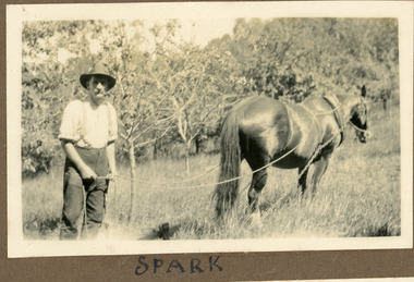 Photograph