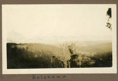 Photograph