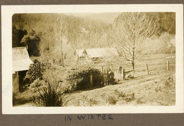 Photograph