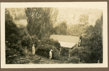 Photograph