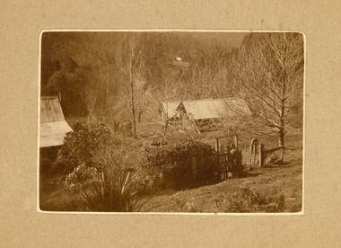 Photograph