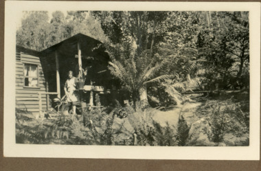 Photograph