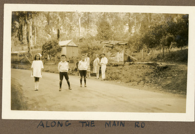 Photograph