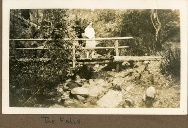 Photograph