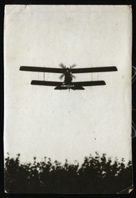 plane in flight
