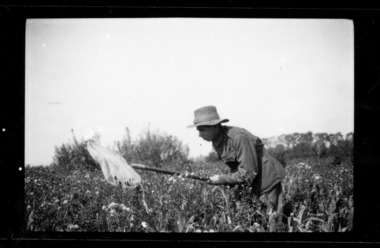 soldier catching bugs, les chandler_a00125c.tif