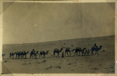Caravan of Camels in deset