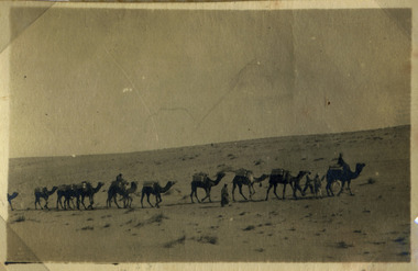 Caravan of Camels in deset