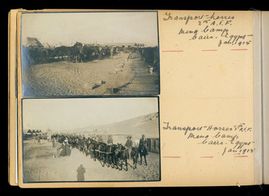 Transport Horses mena camp, red cliffs00139.tif