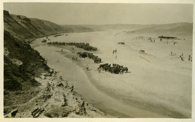 troops and horses resting, robertson thomas090.tif