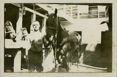 Light horse on transport ship, mountjoy008.tif