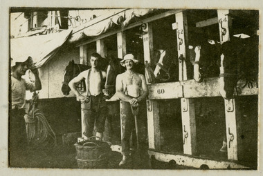 stables on ship, mountjoy009.tif