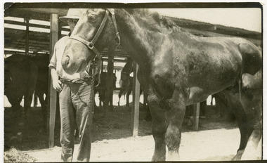 Light horse, mountjoy037.tif