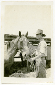 horse in stable