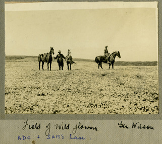 soldiers in field of wild flowers