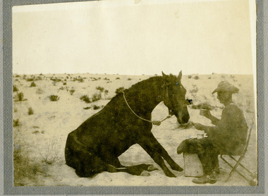 soldier with horse