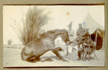 soldiers with horse