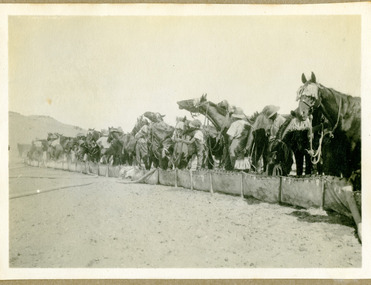watering horses, mountjoy079.tif