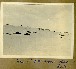 dead horses on battlefield, mountjoy080.tif