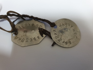 Tag, Dog tags