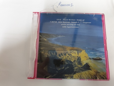 Diary, Electronic Copy of hand written diary